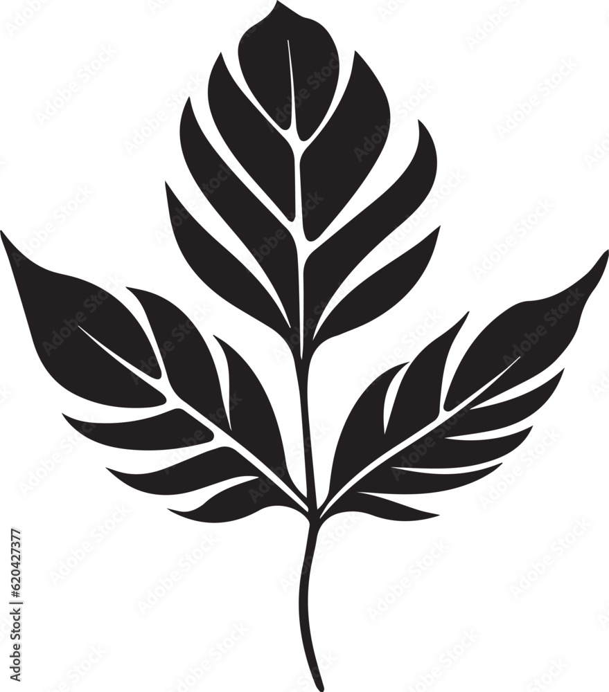 Pinnate Leaf Black And White, Vector Template Set for Cutting and Printing