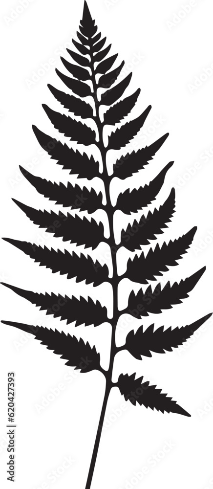 Boston Fern Leaf Black And White, Vector Template Set for Cutting and Printing Boston Fern Leaf Black And White, Vector Template Set for Cutting and Printing