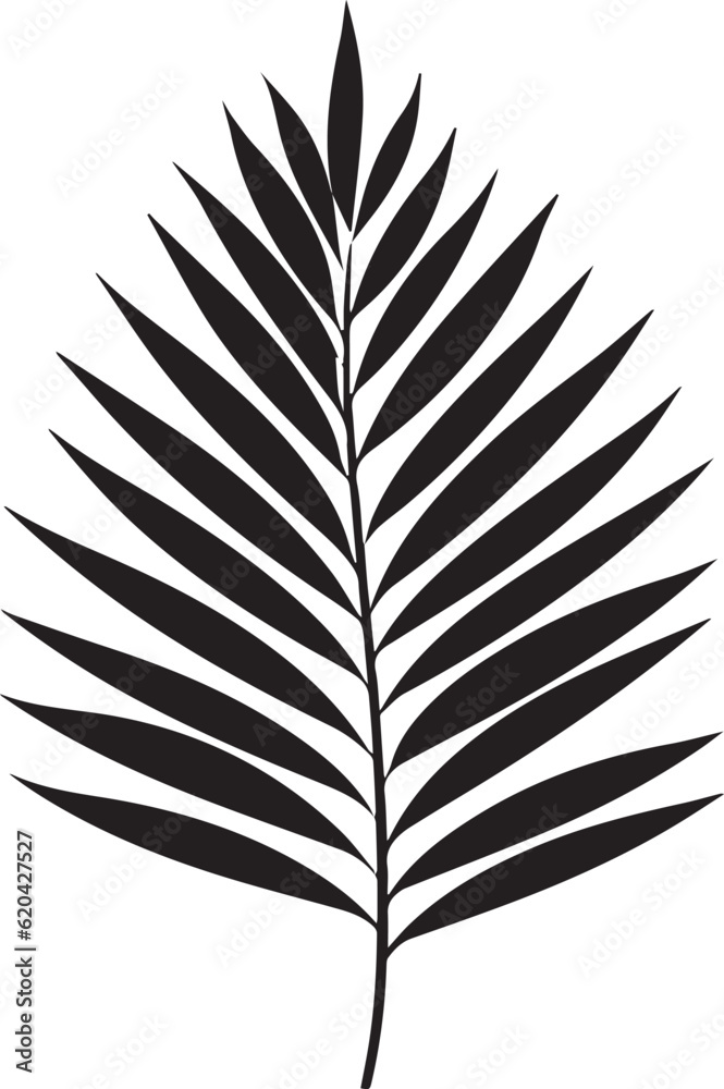 Coconut Leaf Black And White, Vector Template Set for Cutting and Printing Coconut Leaf Black And White, Vector Template Set for Cutting and Printing