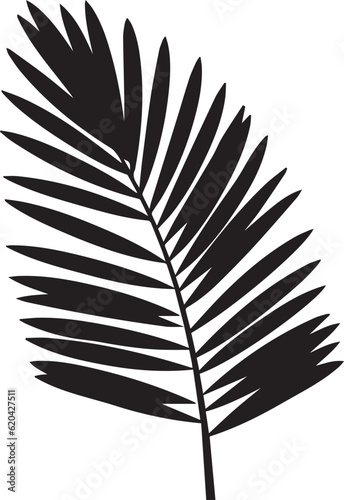Coconut Leaf Black And White  Vector Template Set for Cutting and Printing