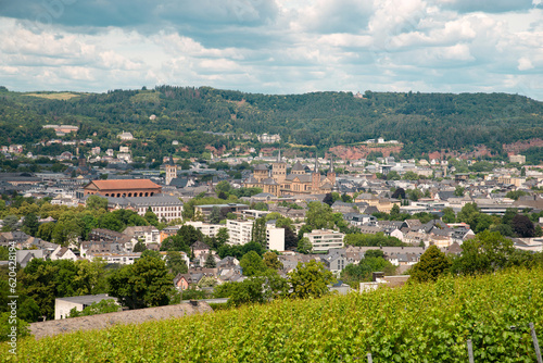 Vineyard with view of the ancient roman city of Trier, the Moselle Valley in Germany, landscape in rhineland palatine  © Berit Kessler