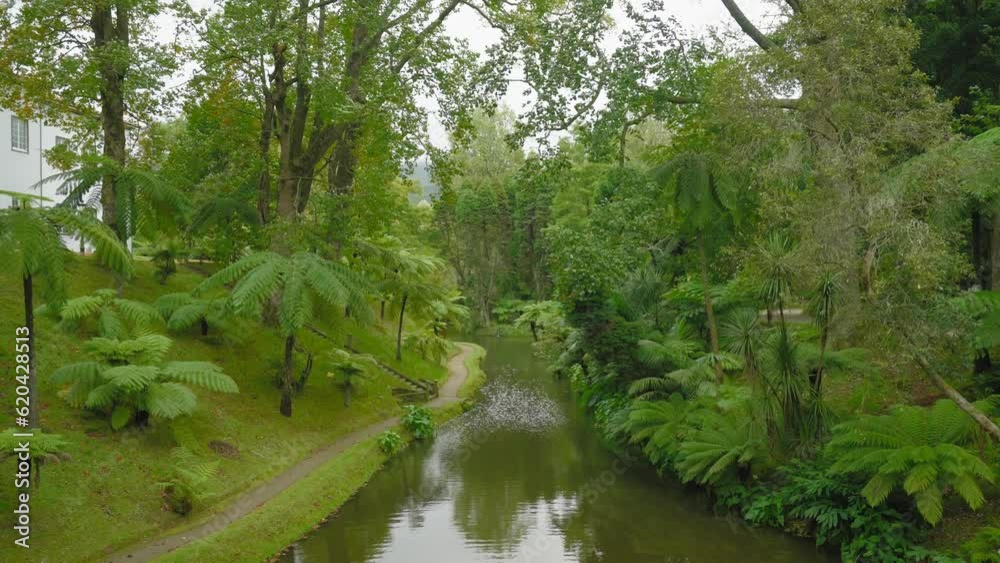 Enchanting River at Terra Nostra Park, São Miguel, Azores, push in reveal Enchanting River at Terra Nostra Park, São Miguel, Azores, push in reveal