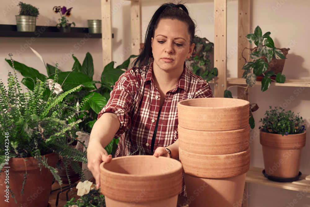 Woman repotting and taking care of houseplants indoors. Woman repotting and taking care of houseplants indoors.