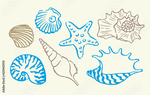 Shells , colorful seashells , shellfish, conch , mollusks , starfish , marine illustration, vector illustration , stickers, decorations, ocean , scallops, doodle