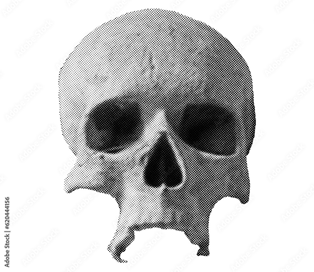 Obraz premium Half-tone illustration of a retro, pop art black and white skull, art. 