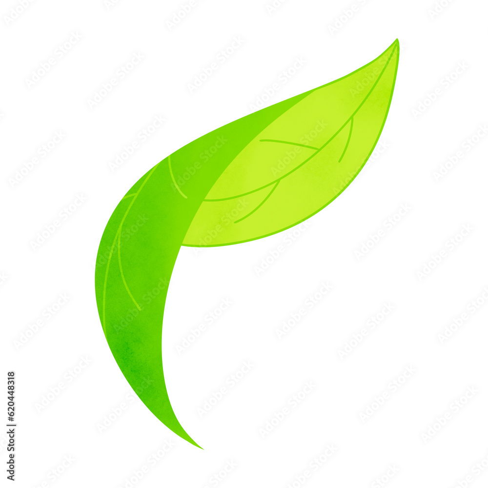 Leaf Leaf