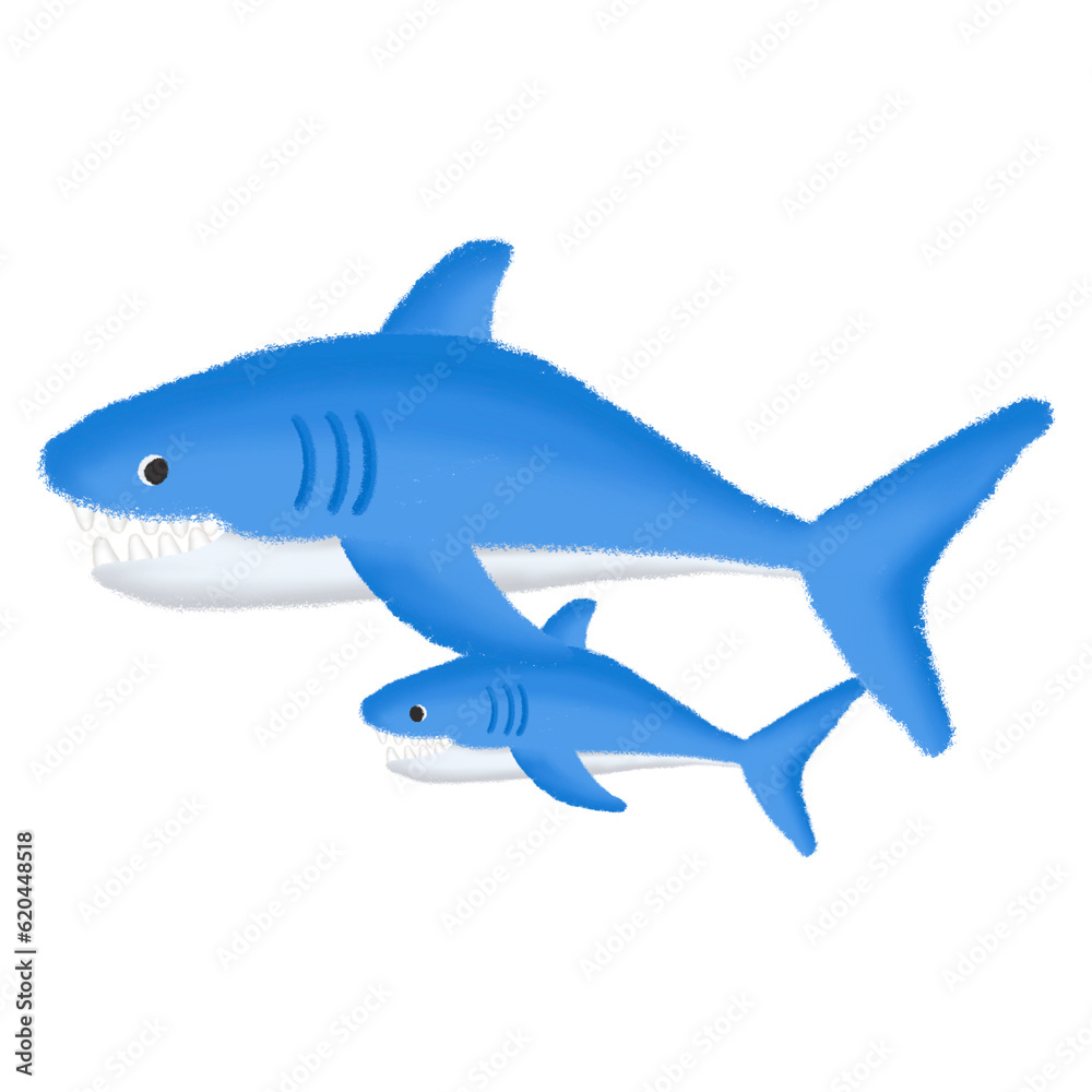 Fototapeta premium Shark in the sea
