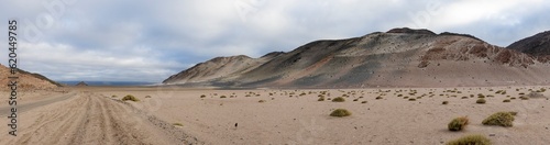 En route to El Pe  on - wild nature in the Puna highlands in Argentina  South America