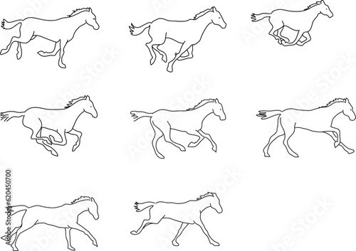 Image sequence of horse running.