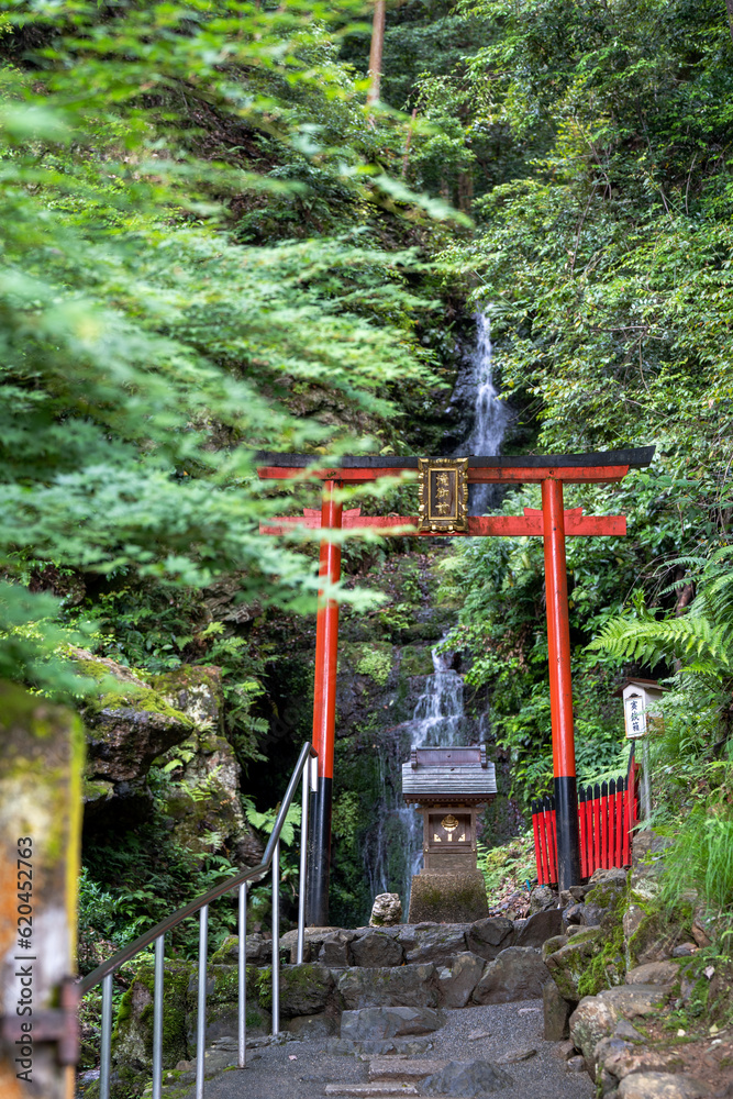 Kyoto, Japan - June 12 2023 : Turtle Waterfall at Matsunoo Taisha Shrine. Kyoto, Japan - June 12 2023 : Turtle Waterfall at Matsunoo Taisha Shrine.