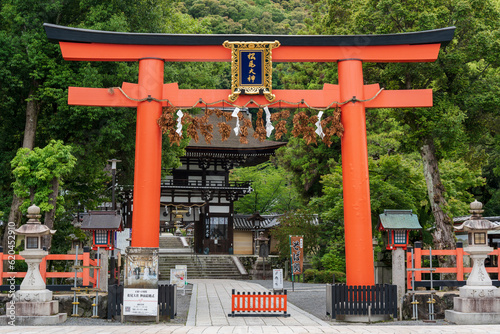 Kyoto, Japan - June 12 2023 : Matsunoo Taisha Shrine Torii Gate. photo