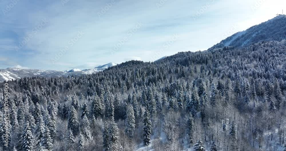 Aerial view of a frozen forest with snow covered trees at winter. Flight above beautiful snowy mountains in Bakuriani, Georgia Aerial view of a frozen forest with snow covered trees at winter. Flight above beautiful snowy mountains in Bakuriani, Georgia