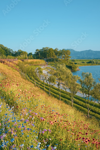 a field of flowers with mountains in the background along the river's waterways photo