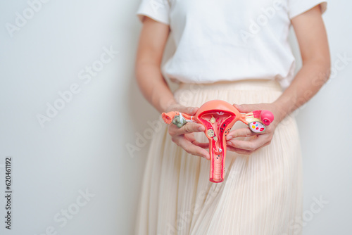 Woman holding Uterus and Ovaries model. Ovarian and Cervical cancer, Endometriosis, Hysterectomy, Uterine fibroids, Reproductive, menstruation, Stomach, Pregnancy and Sexual Transmitted disease photo