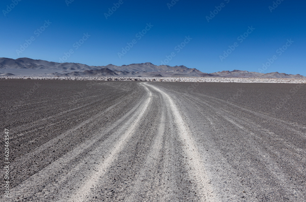 Puna - off road adventure on the way to the Campo de Piedra Pómez, a bizarre but beautiful landscape with a field of pumice, volcanic rocks and dunes of sand in the north of Argentina, South America Puna - off road adventure on the way to the Campo de Piedra Pómez, a bizarre but beautiful landscape with a field of pumice, volcanic rocks and dunes of sand in the north of Argentina, South America