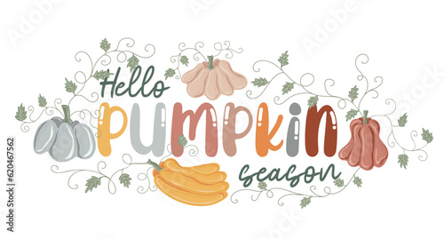 Hello pumpkin season. Motivation quote with colorful pumpkins and leaves. Hand drawn lettering. Autumn decorative element for banners, posters, Cards, t-shirt designs, invitations. Vector illustration