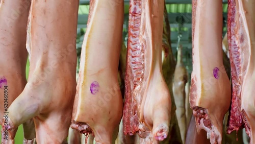 Hanging full pig carcasses in row in slaughterhouse in meat shop of food plant. Manufacturing animal meat products on industrial factory concept. Raw meat in refrigerator on meat production facility.