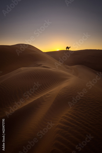 Fototapeta Naklejka Na Ścianę i Meble -  sunset in the desert country