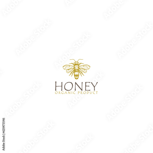 Honey bee hand drawing style logo template