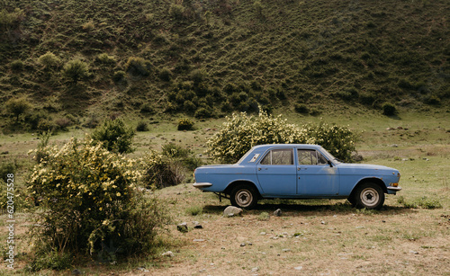An old car is standing in the mountains among blooming shrubs.