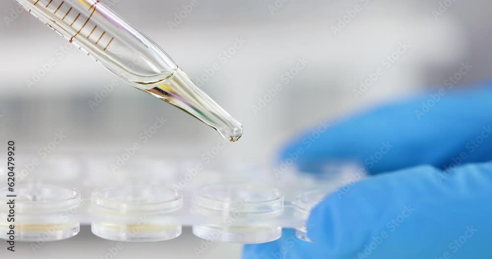 Scientist chemist dripping yellow liquid from pipette into container 4k movie. Quality control of engine oil concept