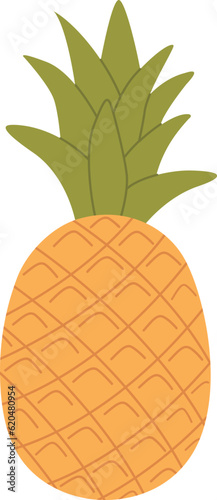 Pineapple icon vector illustration in a flat style