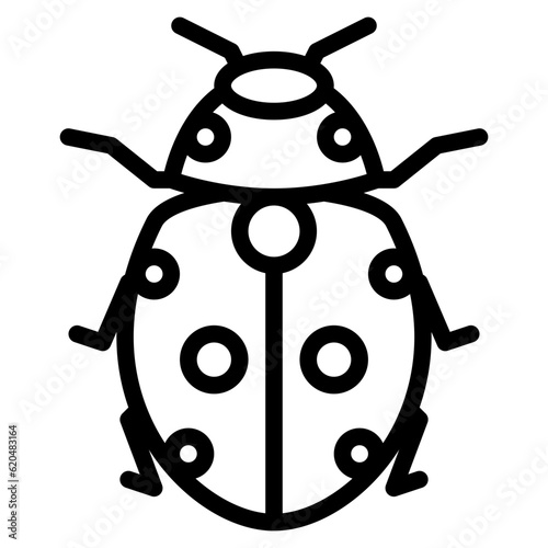 ladybug bug insect animal