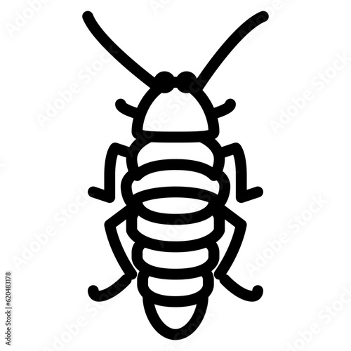 madagascar hissing cockroach bug insect animal