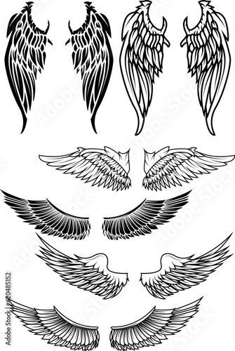 Set of the wings in vector. Design elements for logo, badge or label. Vector illustration.