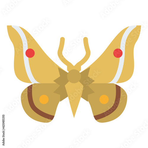 moth bug insect animal