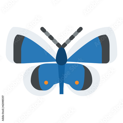 eastern bug insect animal