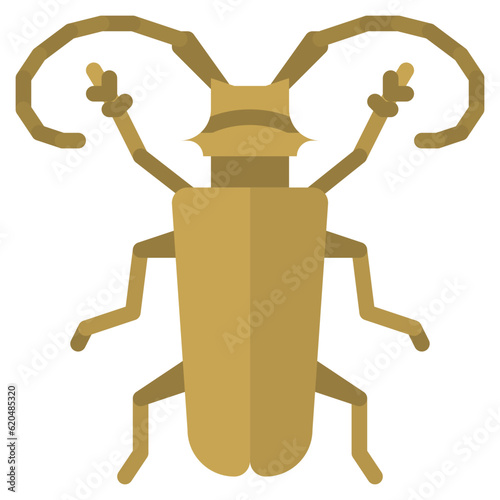 longhorn beetle bug insect animal