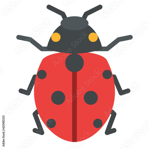 ladybug bug insect animal