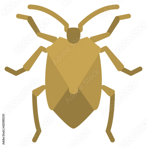 stinkbug bug insect animal