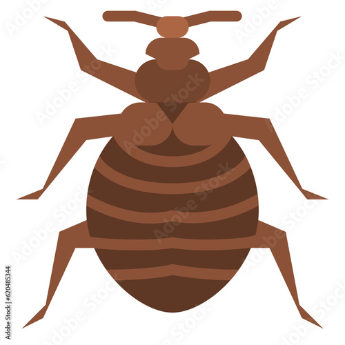 flea bug insect animal