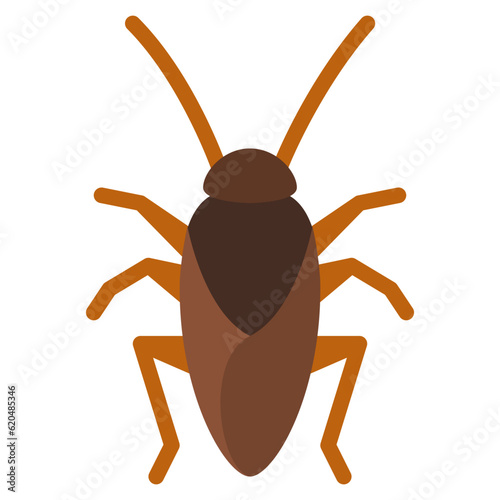 cockroach bug insect animal