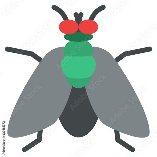 fly bug insect animal