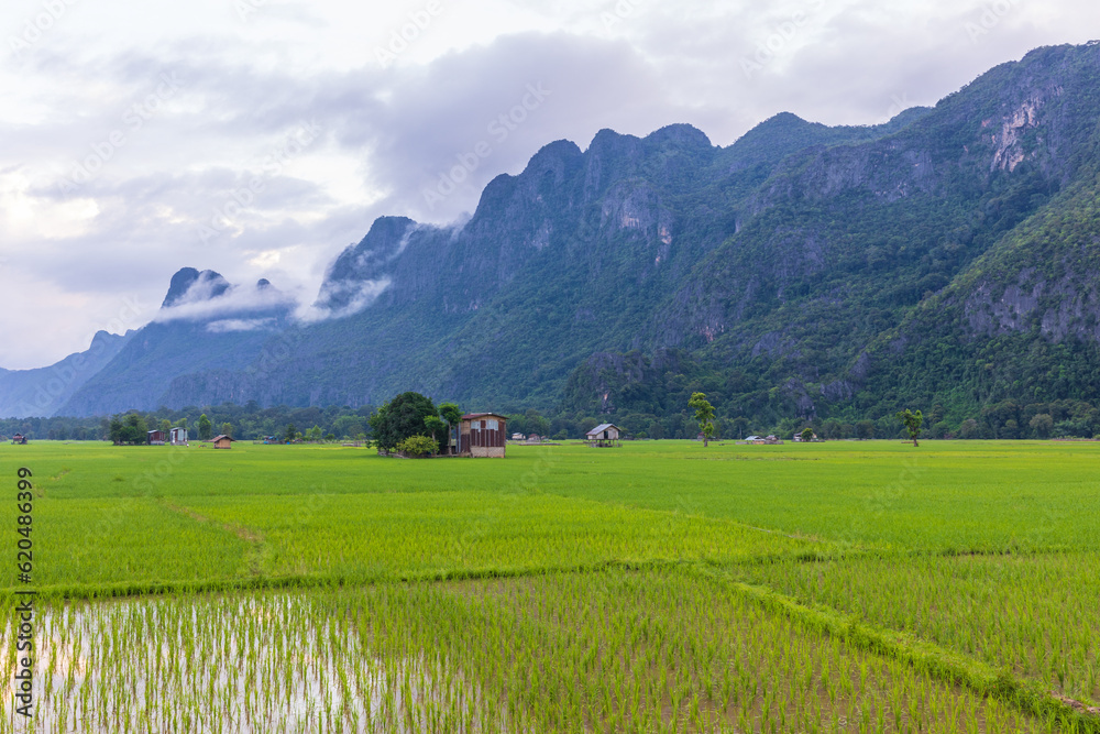 Obraz premium Nature is still peaceful and beautiful in Laos PDR.