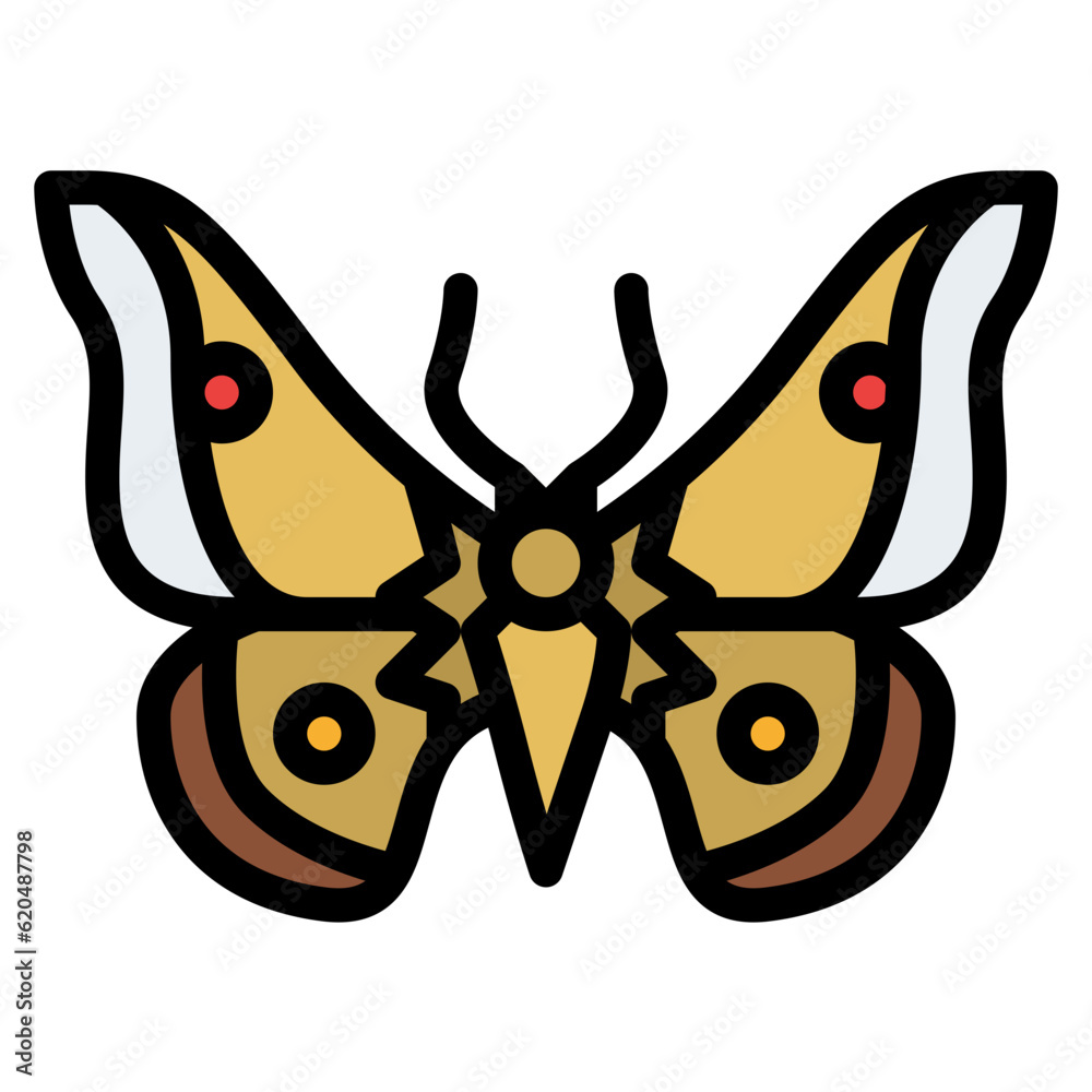 Obraz premium moth bug insect animal