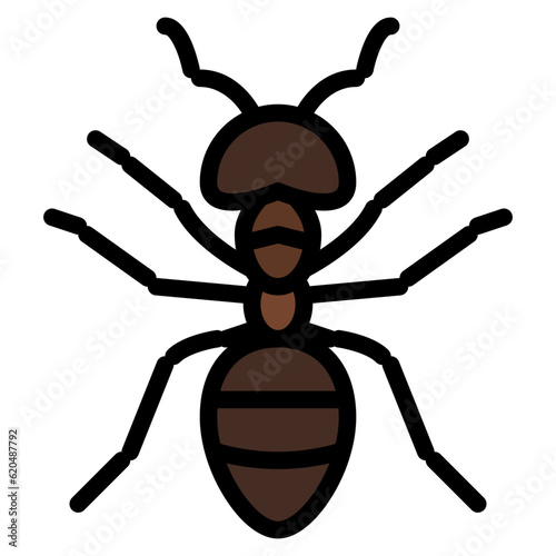 ant bug insect animal