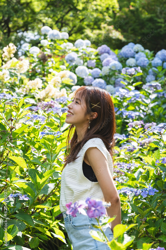 紫陽花と女性 紫陽花と女性