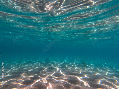 Photography underwater world wide angle view, mediterranean sea, Villasimius, Sardinia
Under