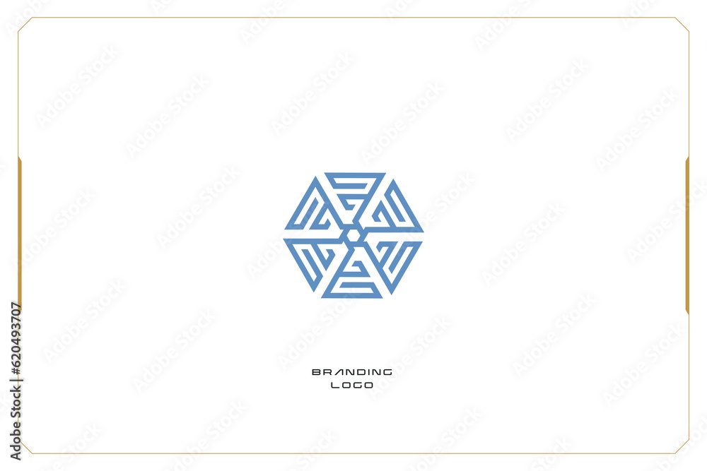 Fototapeta premium Hexagon Marketing Trading Networking Vector Logo Concept