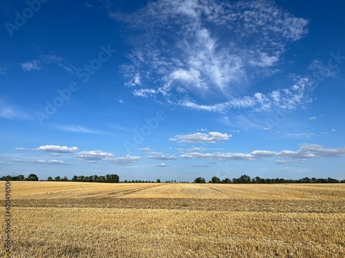 Kornfeld Himmel Engel Wolke