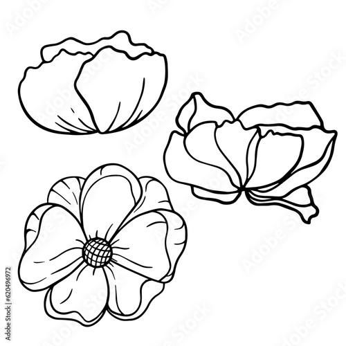 Vector floral set. Leaves and flowers floral illustration.