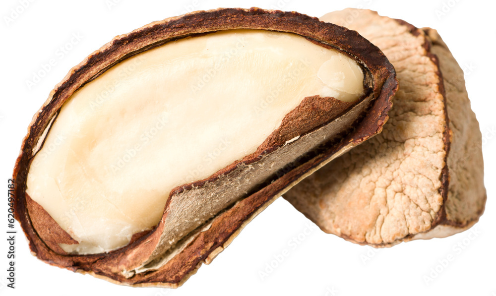 Obraz premium Two brazil nuts isolated on white background.