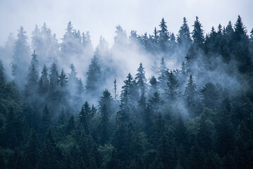 Misty mountain landscape