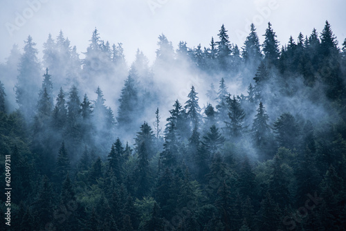 Valokuva Misty mountain landscape