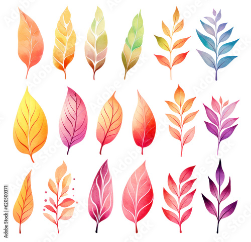 Rainbow colored leaves and branches  collection isolated on white  illustration in watercolor style