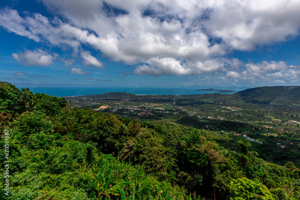 panoramic background of high mountain scenery, overlooking the atmosphere of the sea, trees and wind blowing in a cool blur, spontaneous beauty